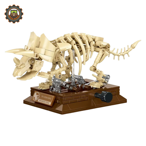 JIE STAR Triceratops Fossil Museum JI57036