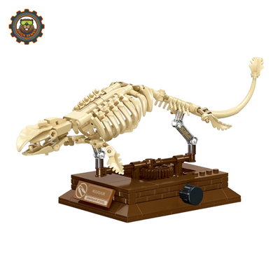 JIE STAR Mosasaur Fossil Museum JI57037