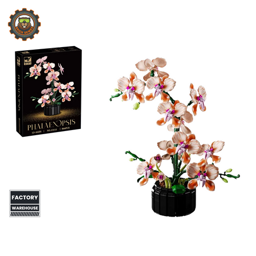MJI Phalaenopsis Orchid 13111MJ