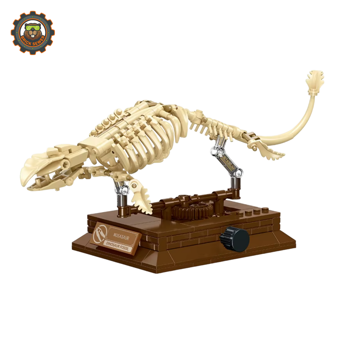 JIE STAR Mosasaur Fossil Museum JI57037
