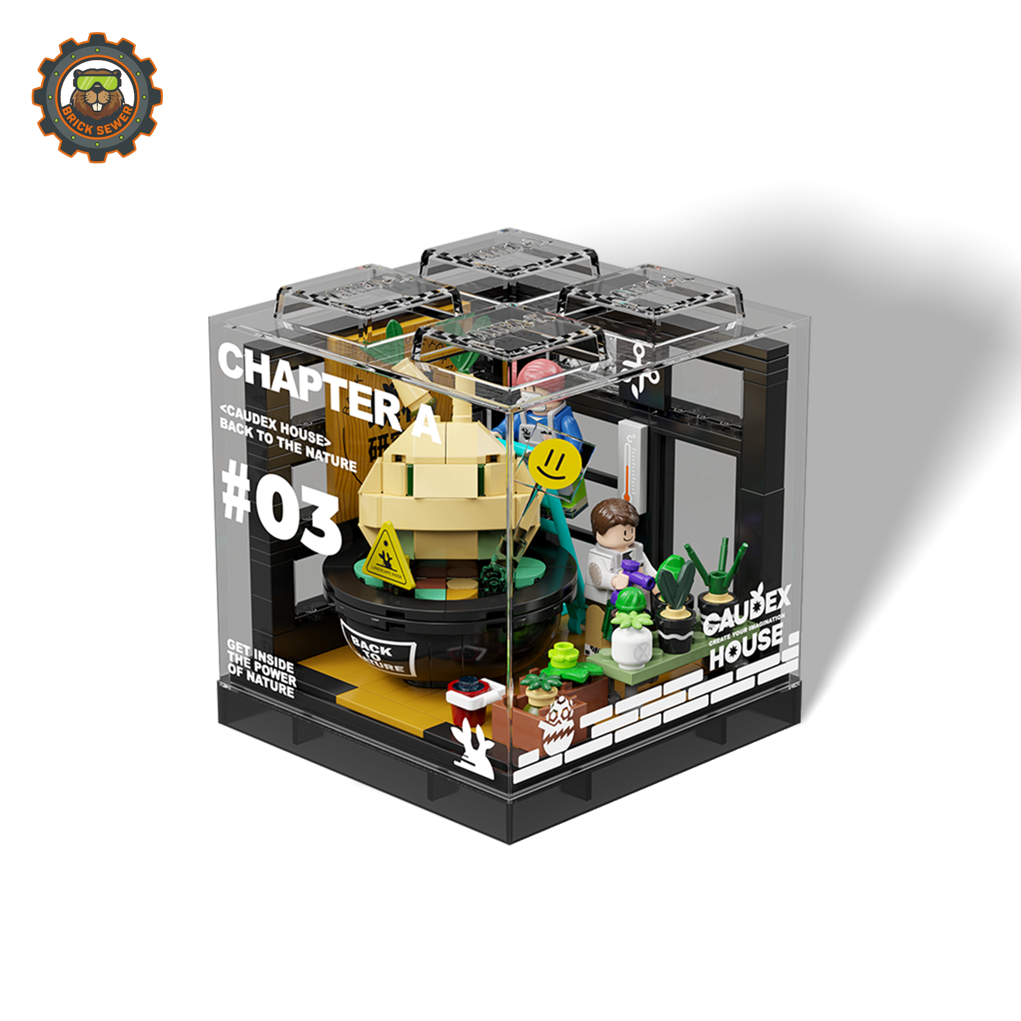 Caudex House Building Blocks