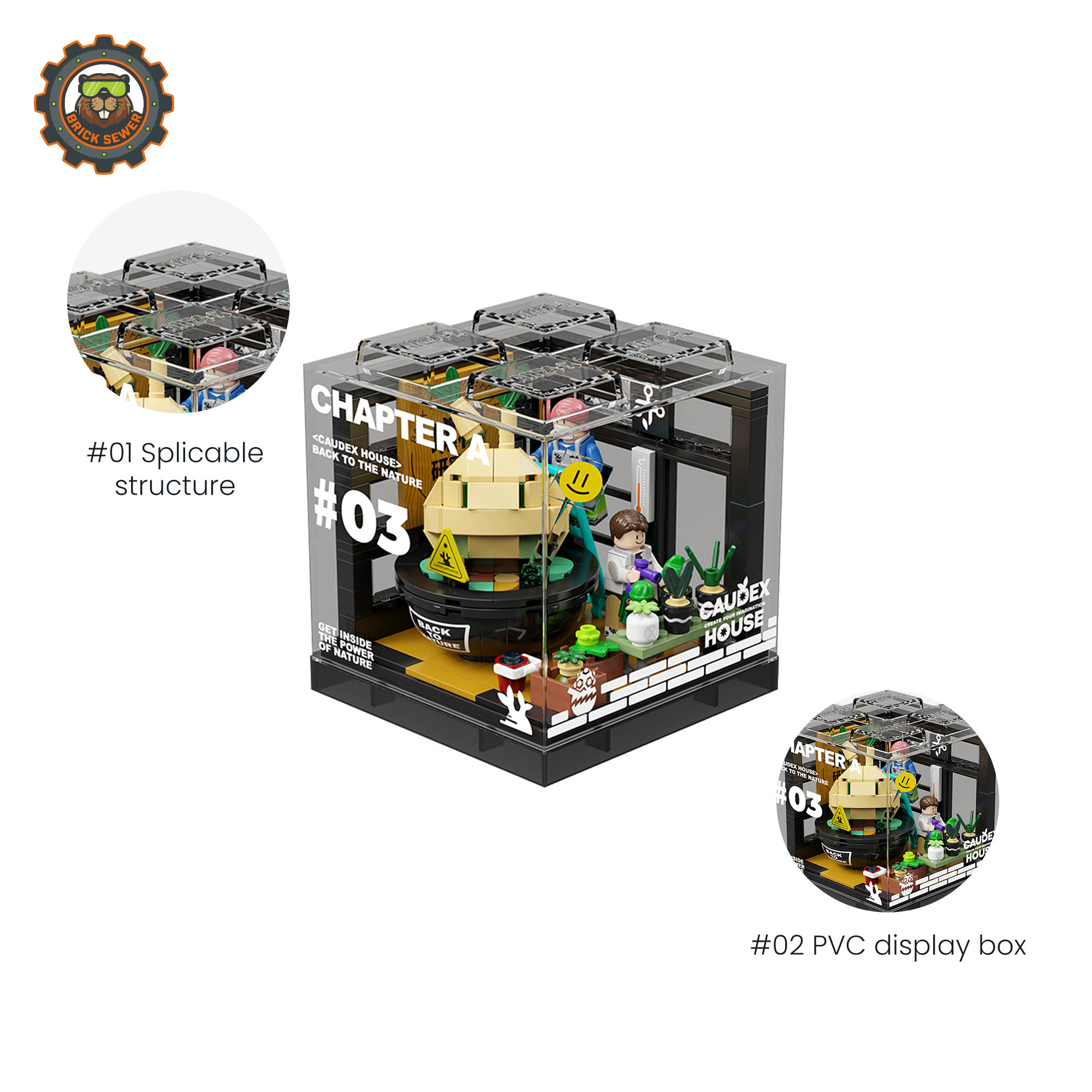 Caudex House Building Blocks